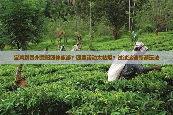 宝鸡到贵州贵阳团体旅游