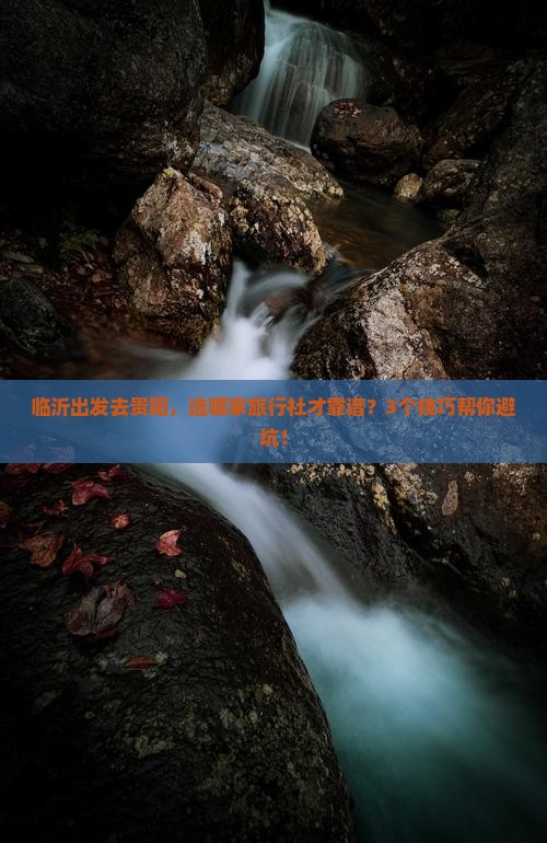 临沂去贵州贵阳旅行社