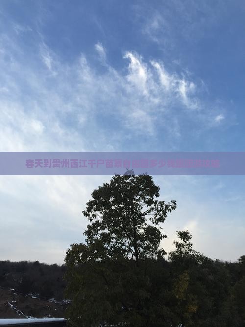 春天到贵州西江千户苗寨自由团