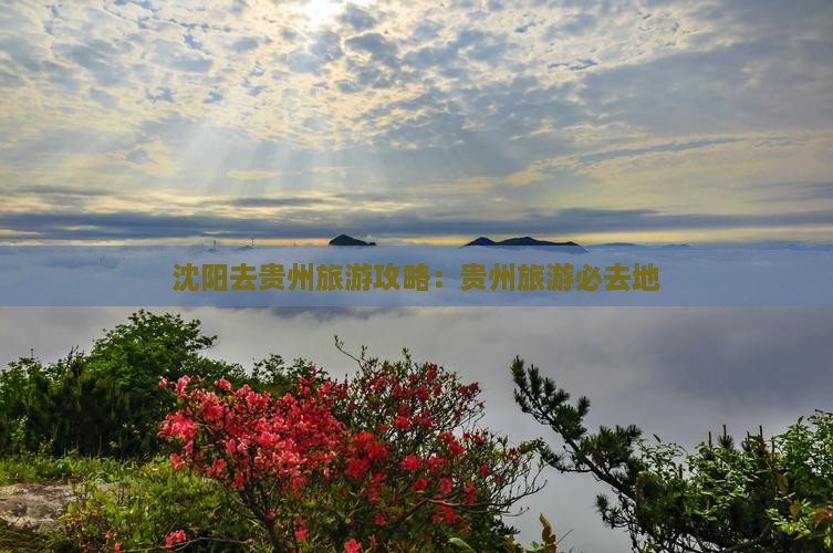 沈阳去贵州必去地 沈阳去贵州必去地
