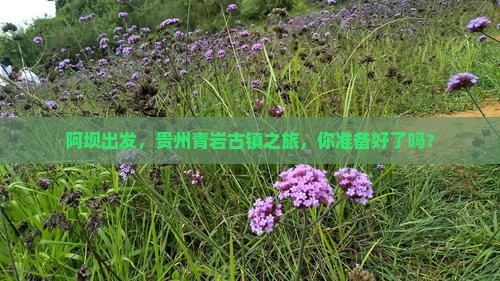 阿坝到贵州青岩古镇景点
