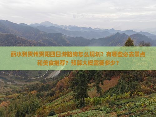 丽水到贵州贵阳四日游
