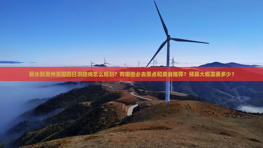 丽水到贵州贵阳四日游
