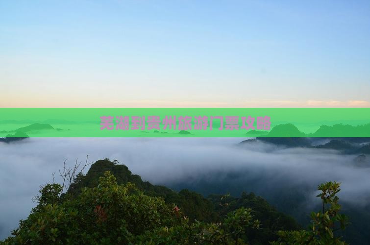 芜湖到贵州门票