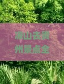 凉山去贵州景点全攻略：路线、距离及推荐景点一览