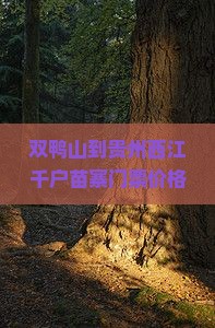 双鸭山到贵州西江千户苗寨门票价格及交通攻略