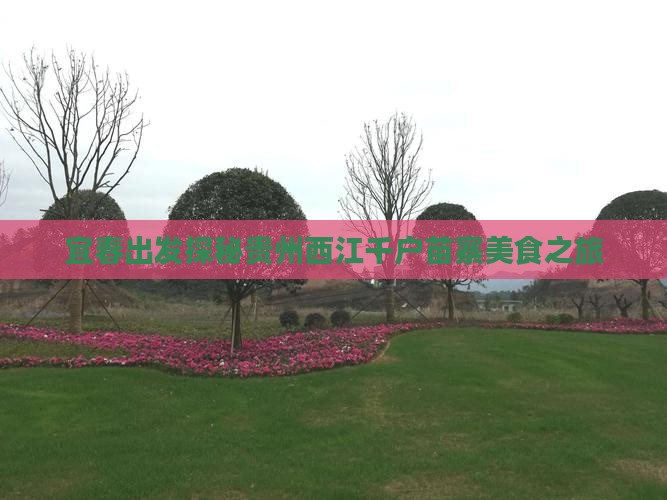 宜春出发探秘贵州西江千户苗寨美食之旅