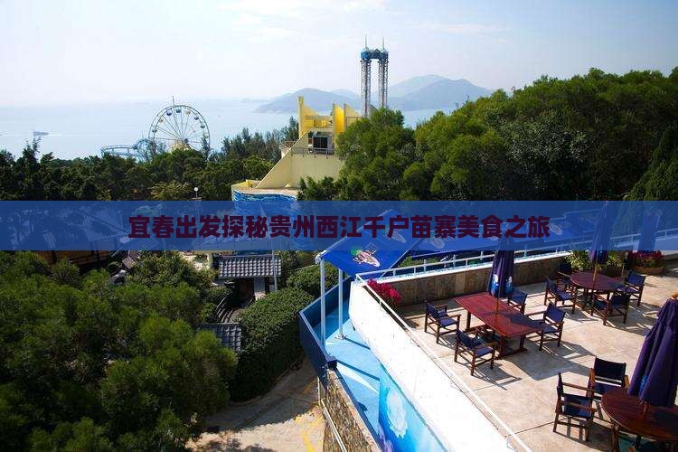 宜春出发探秘贵州西江千户苗寨美食之旅