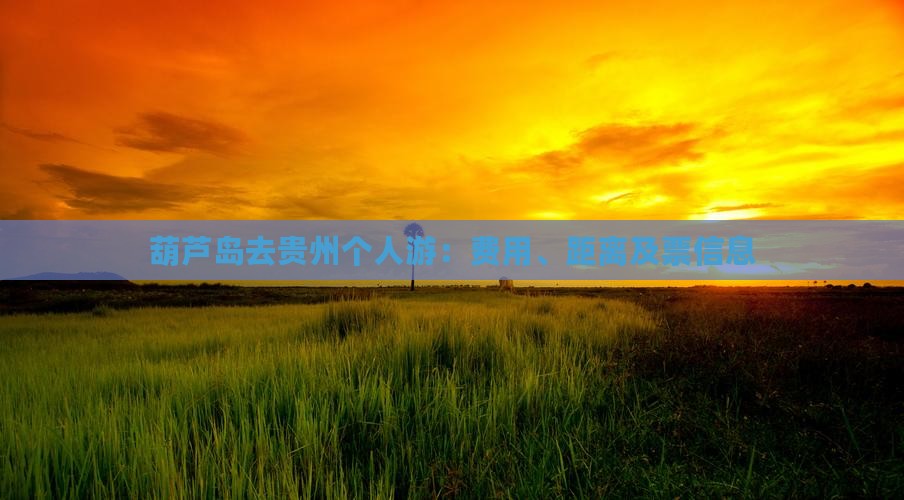 葫芦岛去贵州个人游：费用、距离及票信息