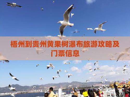 梧州到贵州黄果树瀑布旅游攻略及门票信息