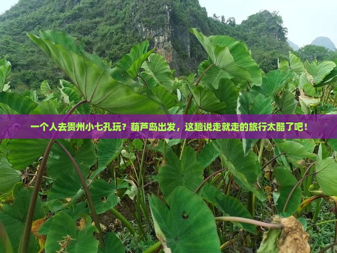 葫芦岛去贵州小七孔个人游