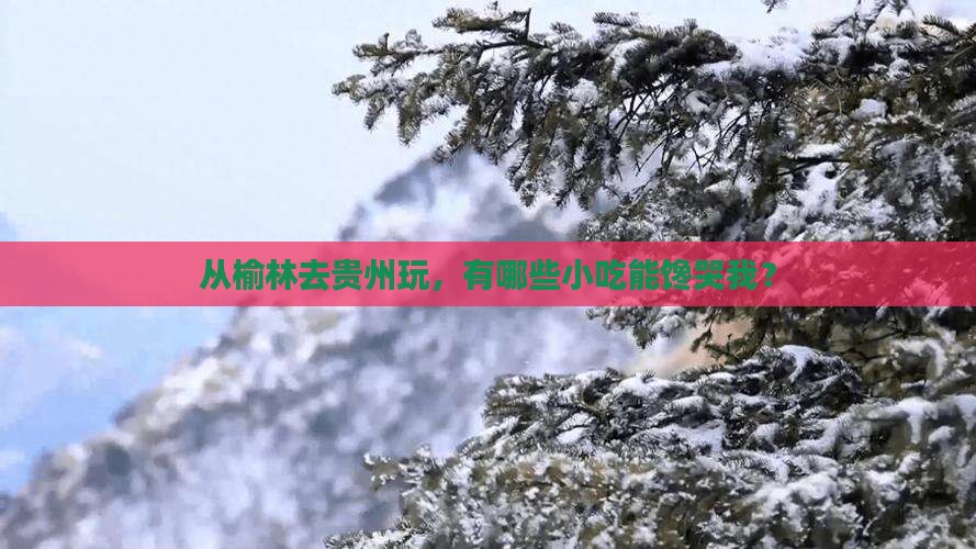 榆林到贵州旅游小吃