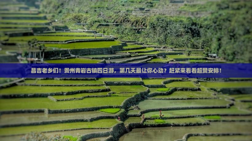 昌吉到贵州青岩古镇四日游