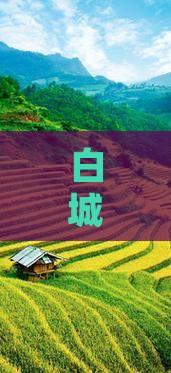 白城到贵州青岩古镇旅游