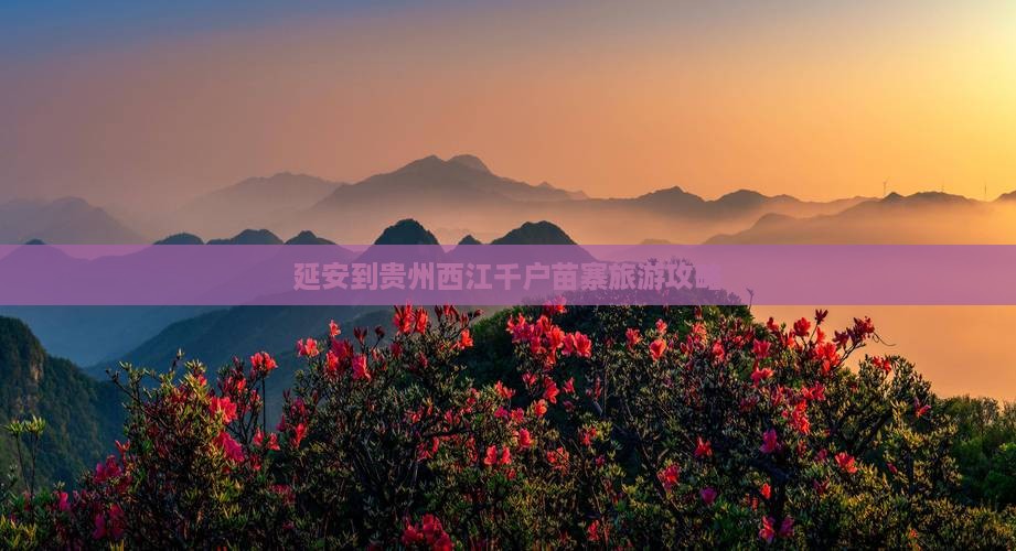 延安到贵州西江千户苗寨旅游