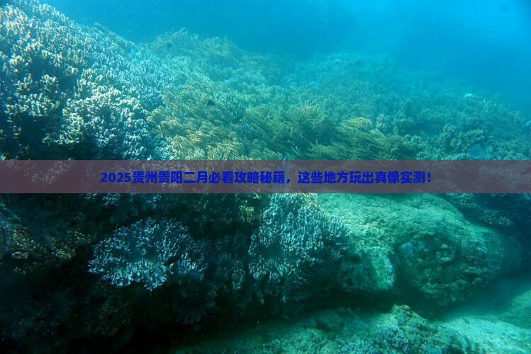 二月到贵州贵阳哪里玩