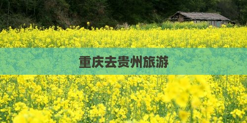 重庆去贵州旅游
