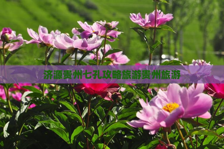 济源去贵州小七孔自由团