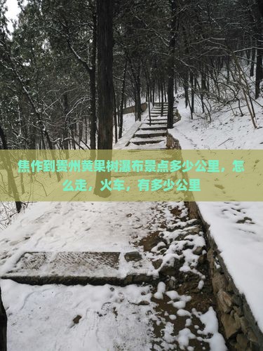 焦作到贵州黄果树瀑布景点