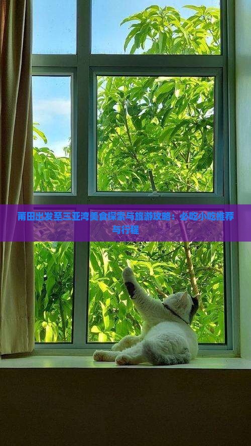 莆田出发至三亚湾美食探索与旅游攻略：必吃小吃推荐与行程