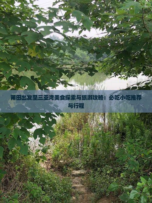 莆田出发至三亚湾美食探索与旅游攻略：必吃小吃推荐与行程