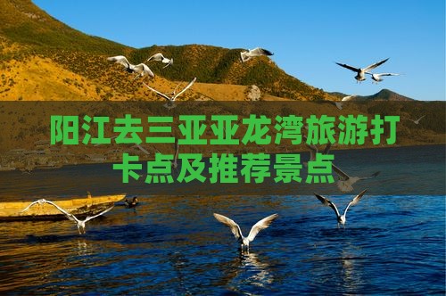 阳江去三亚亚龙湾旅游打卡点及推荐景点