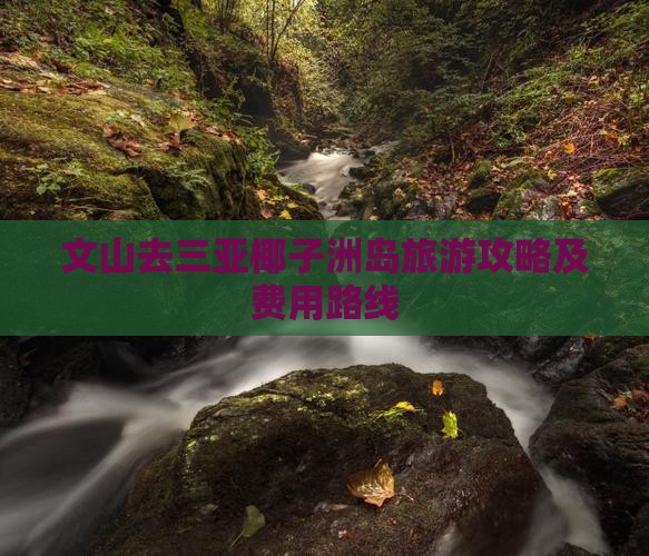 文山去三亚椰子洲岛旅游攻略及费用路线