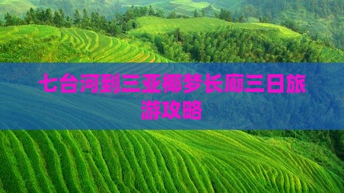 七台河到三亚椰梦长廊三日旅游攻略