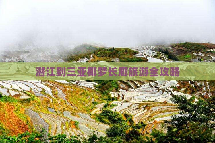 潜江到三亚椰梦长廊旅游全攻略