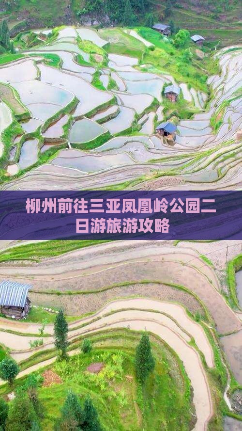 柳州前往三亚凤凰岭公园二日游旅游攻略