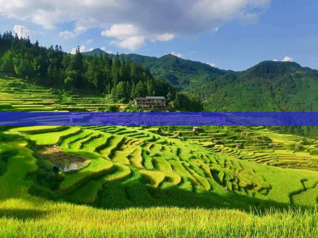吴忠游客海南三亚分界洲岛旅游网攻略：热门地点深度游