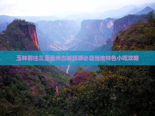 玉林前往三亚崖州古城旅游必尝当地特色小吃攻略