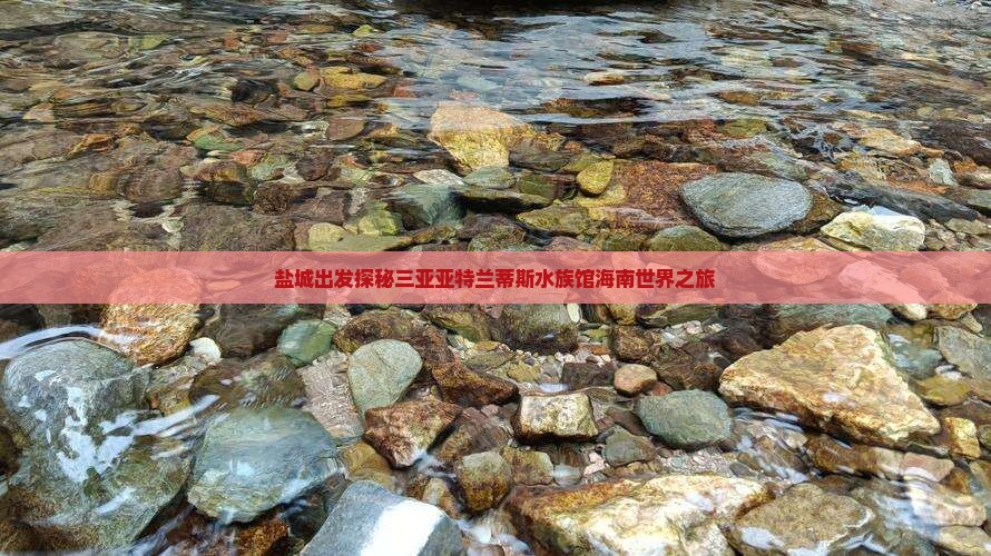 盐城出发探秘三亚亚特兰蒂斯水族馆海南世界之旅