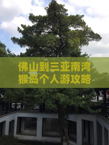 佛山到三亚南湾猴岛个人游攻略