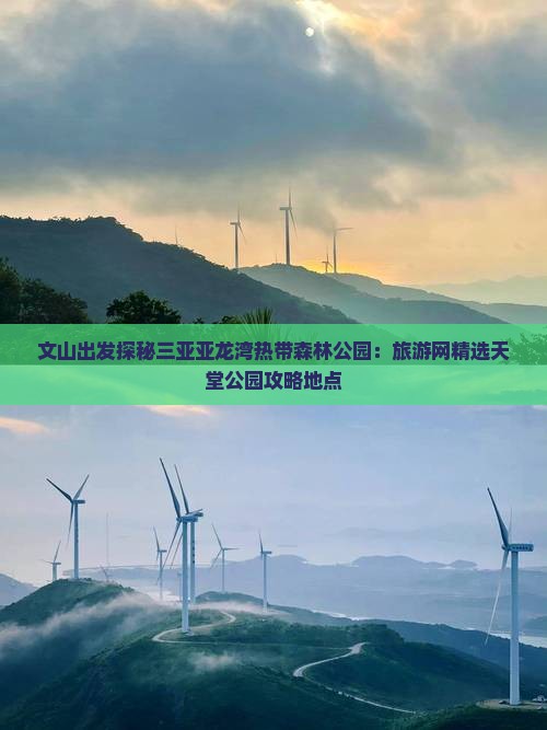 文山出发探秘三亚亚龙湾热带森林公园：旅游网精选天堂公园攻略地点
