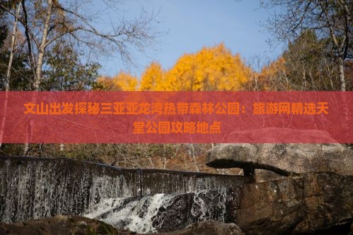 文山出发探秘三亚亚龙湾热带森林公园：旅游网精选天堂公园攻略地点