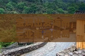 宝鸡出发海南三亚南湾猴岛旅游攻略五日行程