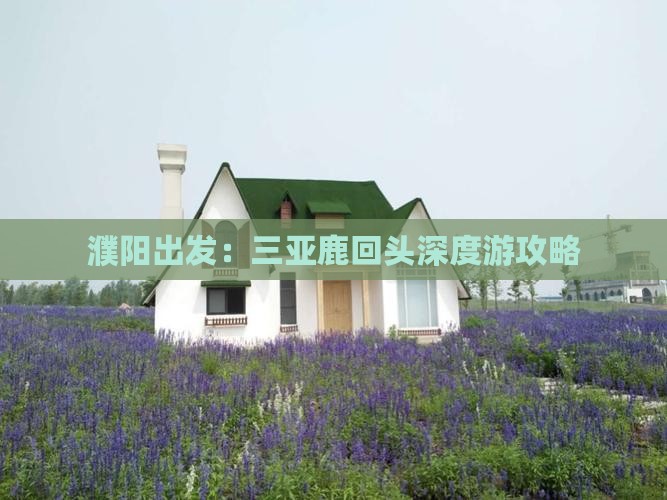 濮阳出发：三亚鹿回头深度游攻略