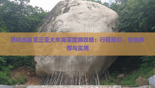 铁岭出发至三亚大东海深度游攻略：行程规划、住宿推荐与实用