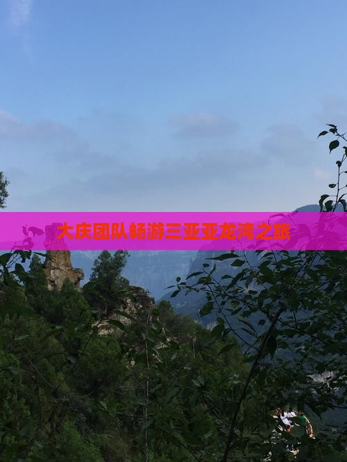 大庆团队畅游三亚亚龙湾之旅