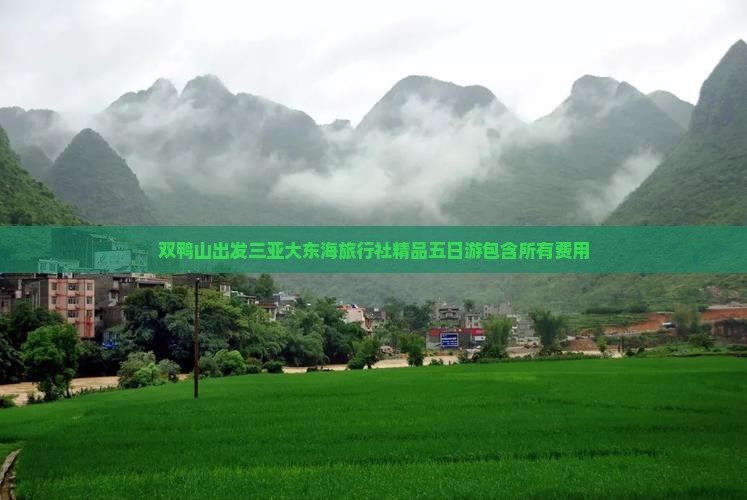 双鸭山出发三亚大东海旅行社精品五日游包含所有费用