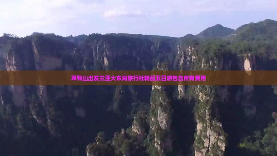 双鸭山出发三亚大东海旅行社精品五日游包含所有费用