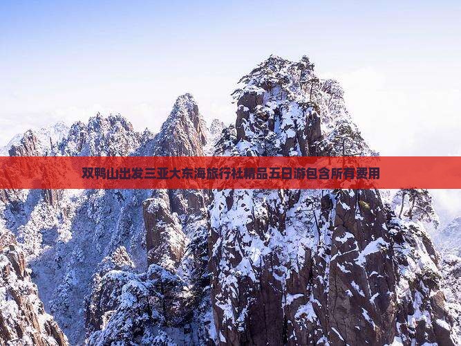 双鸭山出发三亚大东海旅行社精品五日游包含所有费用