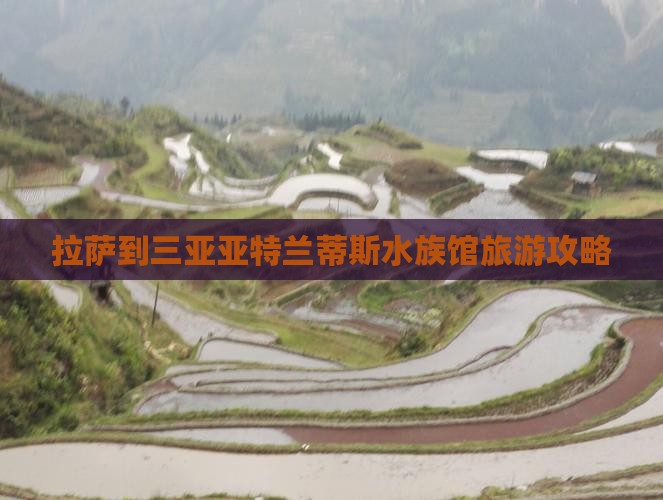 拉萨到三亚亚特兰蒂斯水族馆旅游攻略