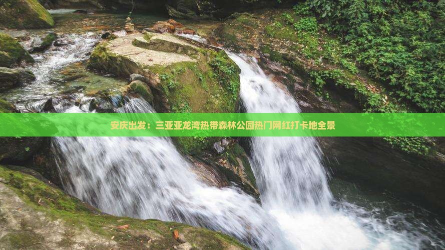安庆出发：三亚亚龙湾热带森林公园热门网红打卡地全景