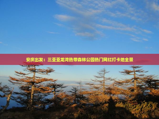 安庆出发：三亚亚龙湾热带森林公园热门网红打卡地全景