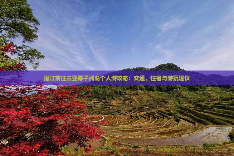 潜江前往三亚椰子洲岛个人游攻略：交通、住宿与游玩建议