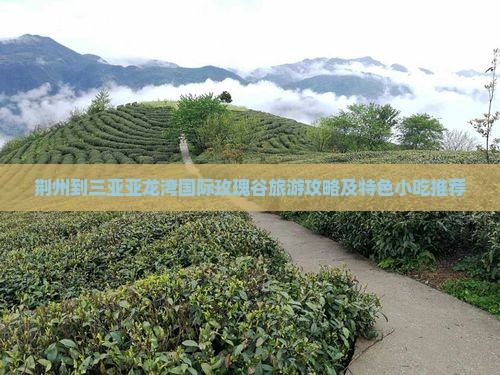 荆州到三亚亚龙湾国际玫瑰谷旅游攻略及特色小吃推荐
