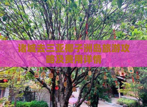 诸城去三亚椰子洲岛旅游攻略及费用详情