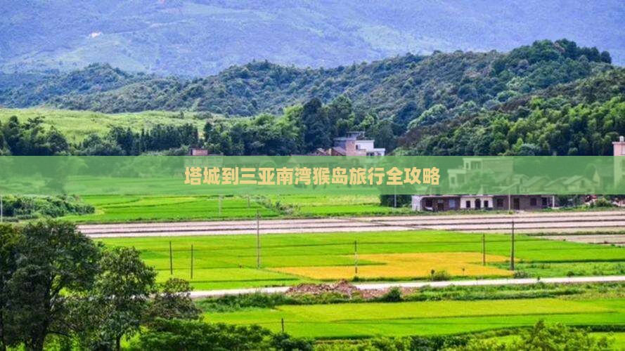 塔城到三亚南湾猴岛旅行全攻略